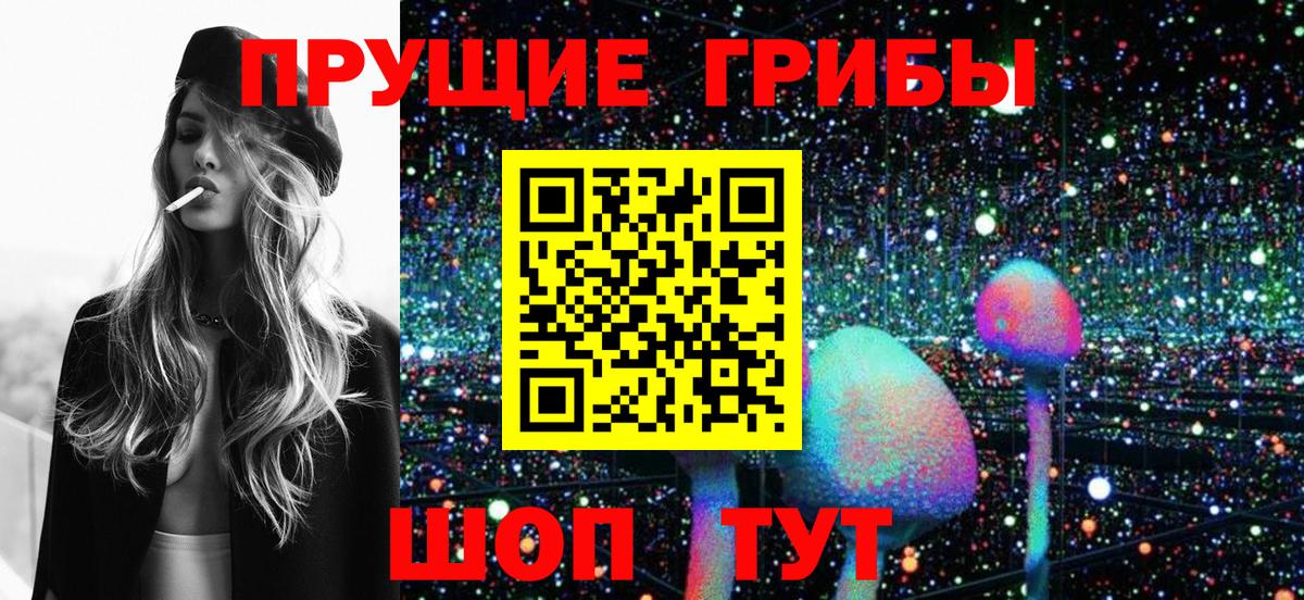 Галлюциногенные грибы GOLDEN TEACHER Нальчик