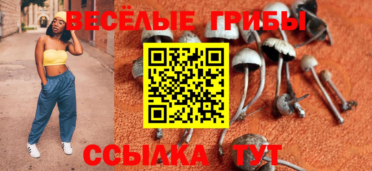 Нальчик  Галлюциногенные грибы Psilocybine cubensis  Галлюциногенные грибы мухоморы  Вход с VPN 